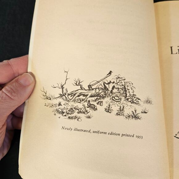 Little House in the Big Woods by Laura Ingalls Wilder Childrens Book - Picture 3 of 5